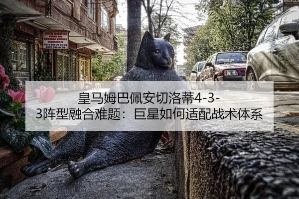 huang-ma-mu-ba-pei-an-qie-luo-di-zhen-xing-rong-he-nan-ti-ju-xing-ru-he-shi-pei-zhan-shu-ti-xi-3-571.jpg