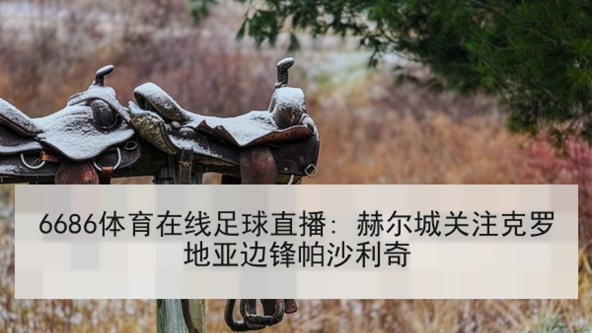 6686体育在线足球直播: 赫尔城关注克罗地亚边锋帕沙利奇