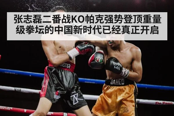 张志磊二番战KO帕克强势登顶重量级拳坛的中国新时代已经真正开启
