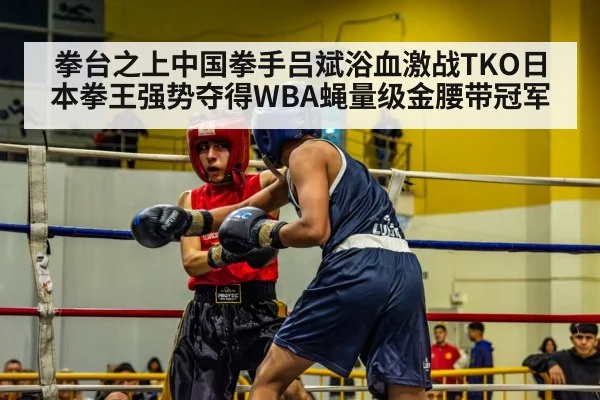 拳台之上中国拳手吕斌浴血激战TKO日本拳王强势夺得WBA蝇量级金腰带冠军